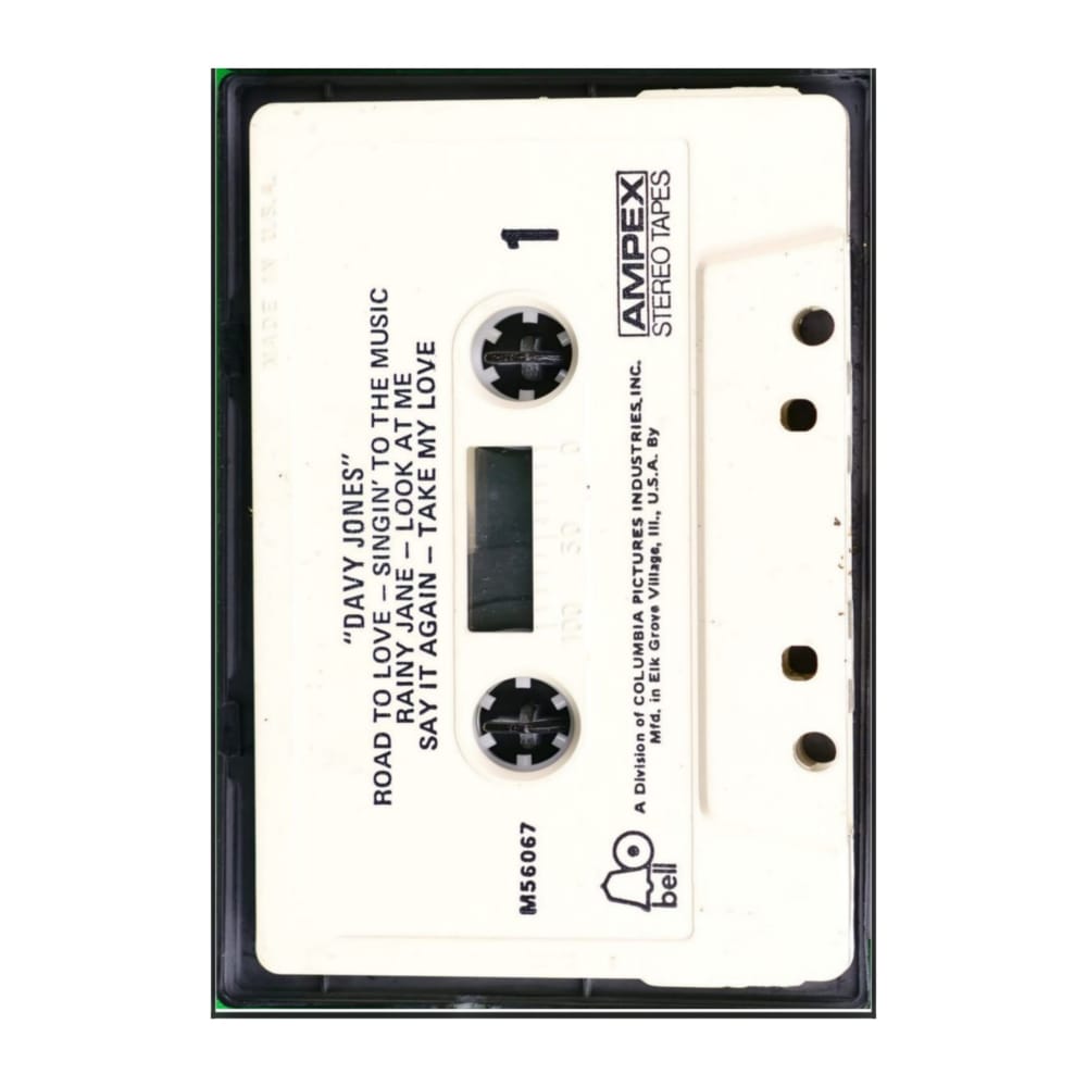 Davy Jones: Davy Jones