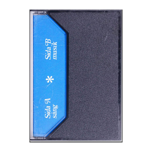 Sjunga Tillsammans 2