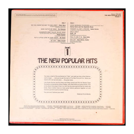 The New Popular Hits 1