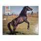 Mb Puzzle 200Pcs 420Mm X 340Mm
