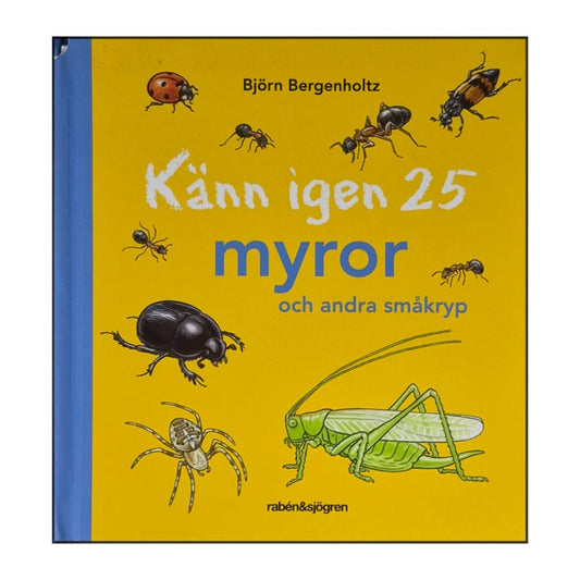 Björn Bergenholtz: Känn Igen 25 Myror Och Andra Småkryp
