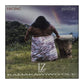 Israel Kamakawiwoʻole: Facing Future