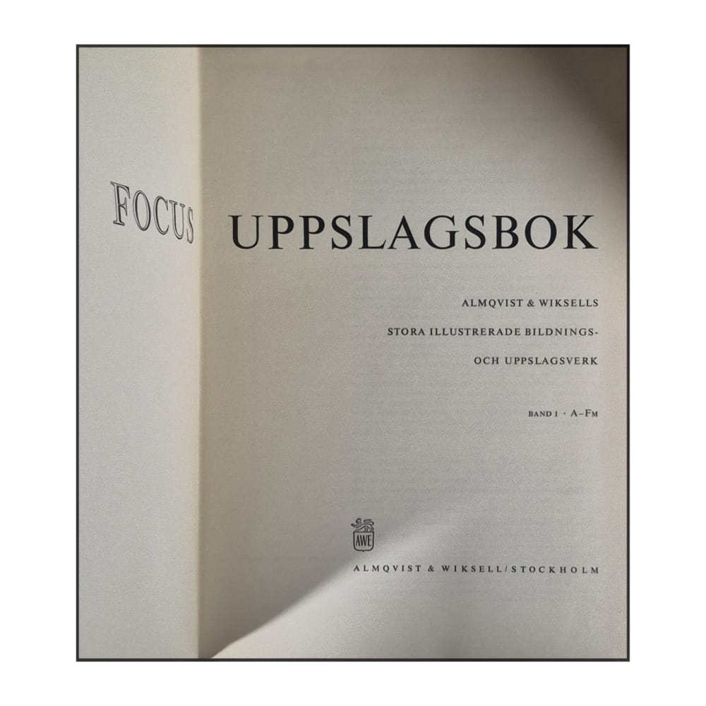 Focus Uppslagsbok Band 1 A-Fm
