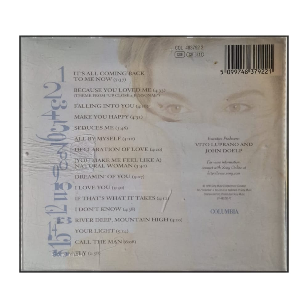 Celine Dion: Falling Into You