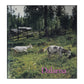 Dalarna