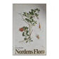 C.A.M. Lindman: Nordens Flora