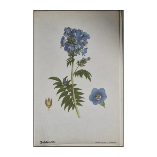 C.A.M. Lindman: Nordens Flora