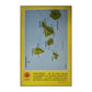 Teneriffa Med La Palma Gomera Hierro