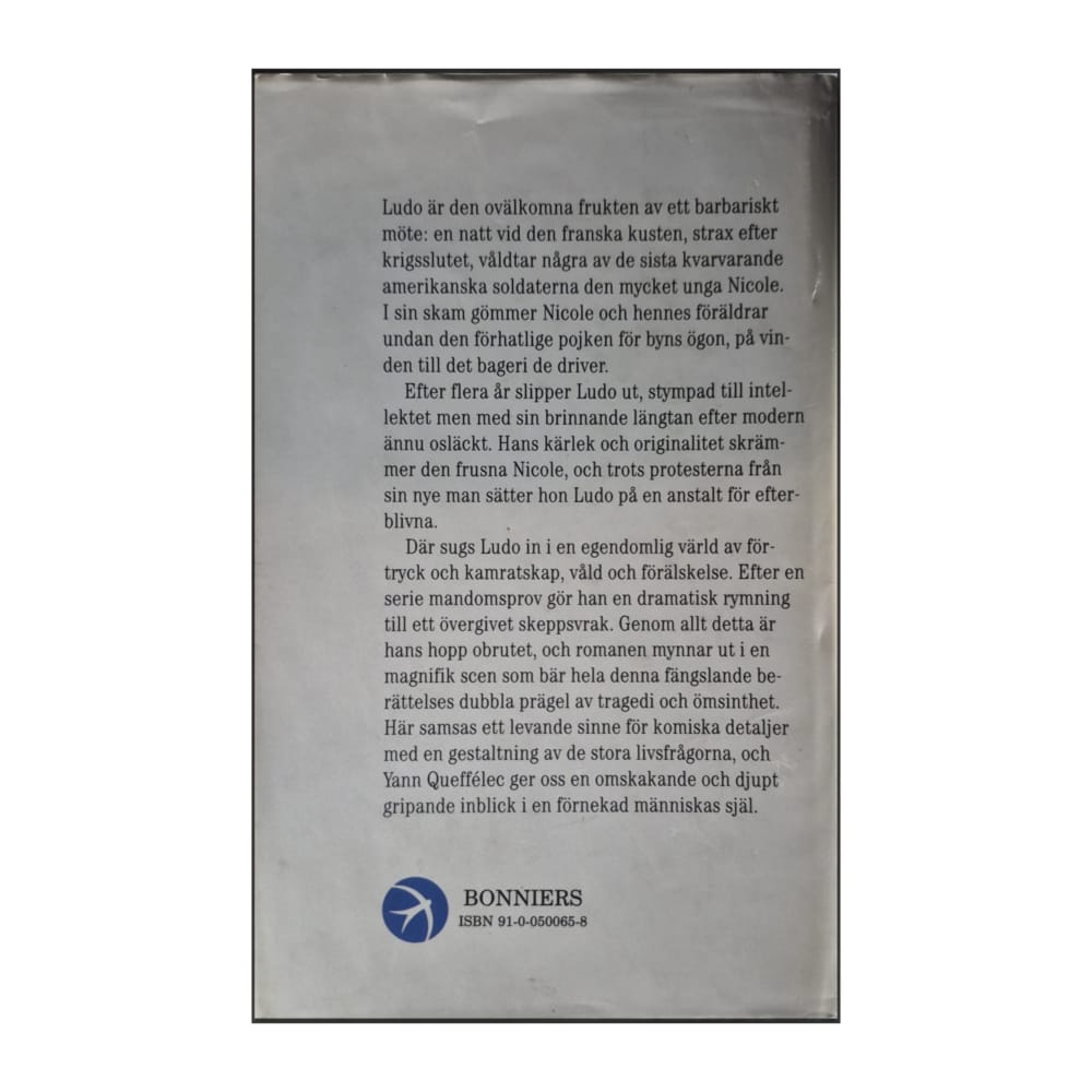 Yann Queffélec: Barnet På Vinden