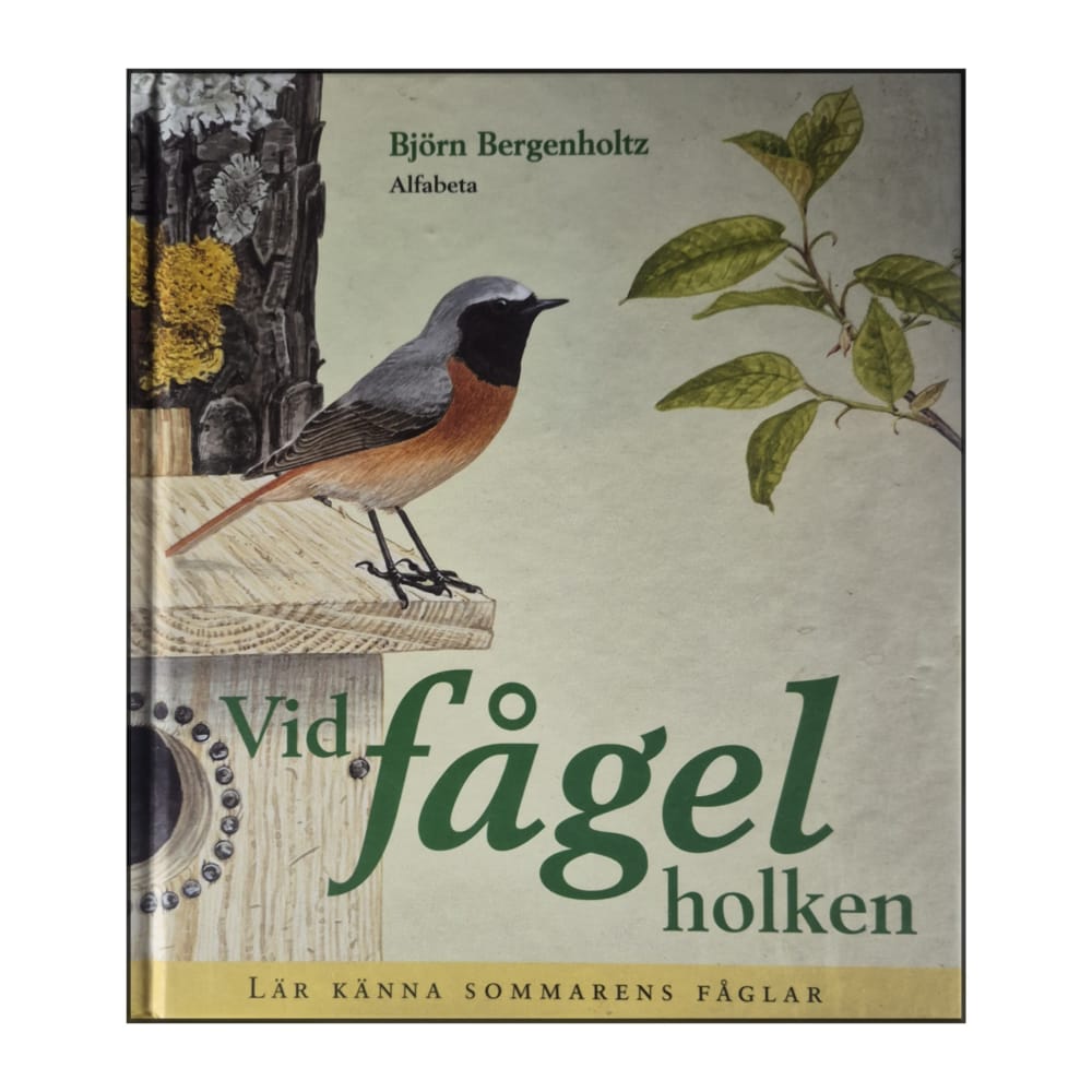 Björn Bergenholtz: Vid Fågelholken