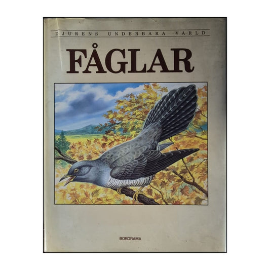 Djurens Underbara Värld: Fåglar