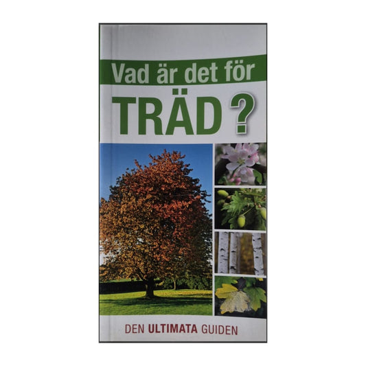 Den Ultimata Guiden: Vad Är Det För Träd?