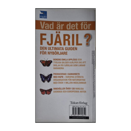 Den Ultimata Guiden: Vad Är Det För Fjäril
