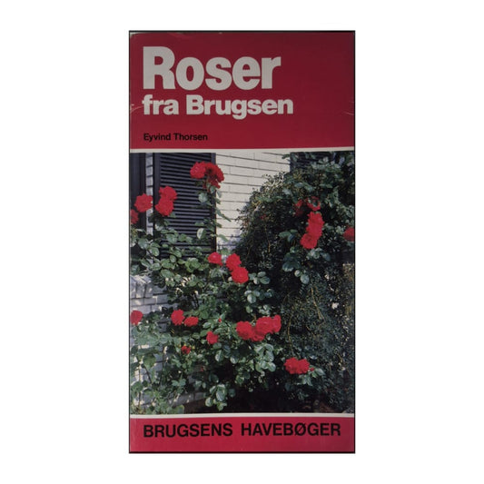 Eyvind Thorsen: Roser Fra Brugsen