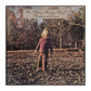 The Allman Brothers Band: Brothers And Sisters