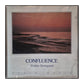 Kristian Borregaard: Confluence