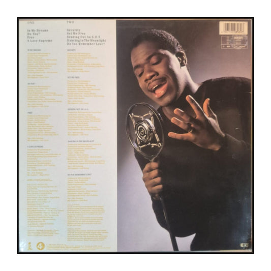 Will Downing: In My Dreams