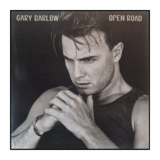 Gary Barlow: Open Road