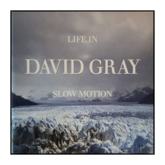 David Gray: Life In Slow Motion