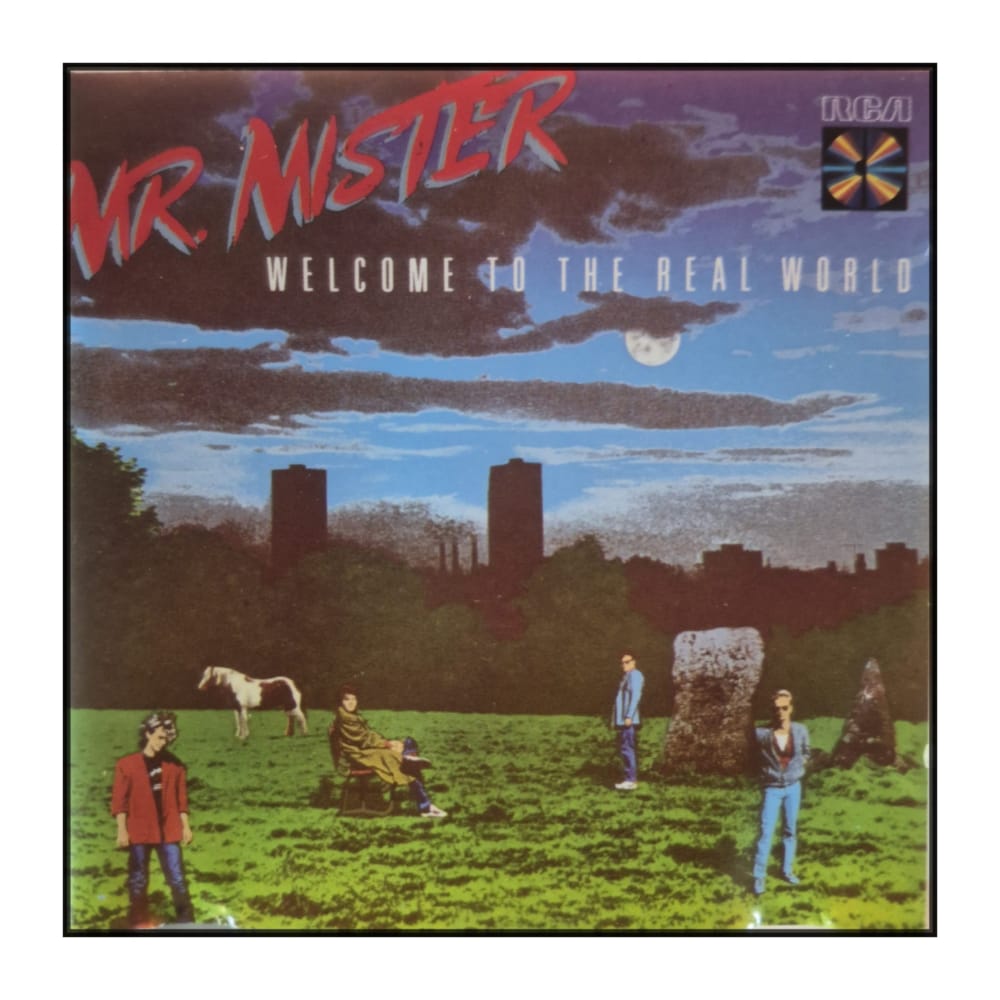 Mr. Mister: Welcome to the Real World