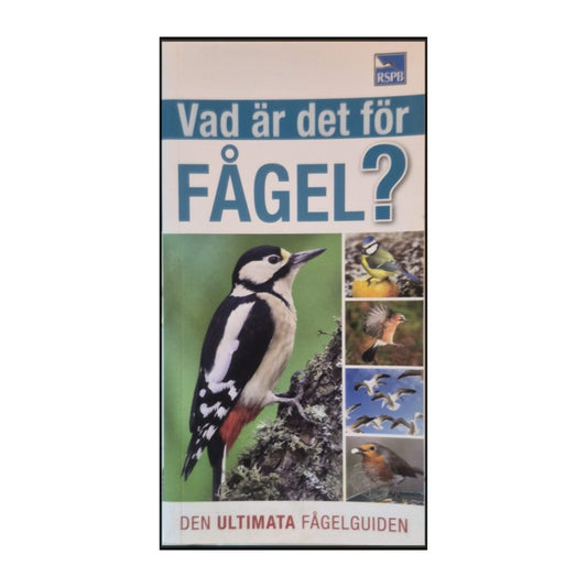 Den Ultimata Guiden: Vad Är Det För Fågel