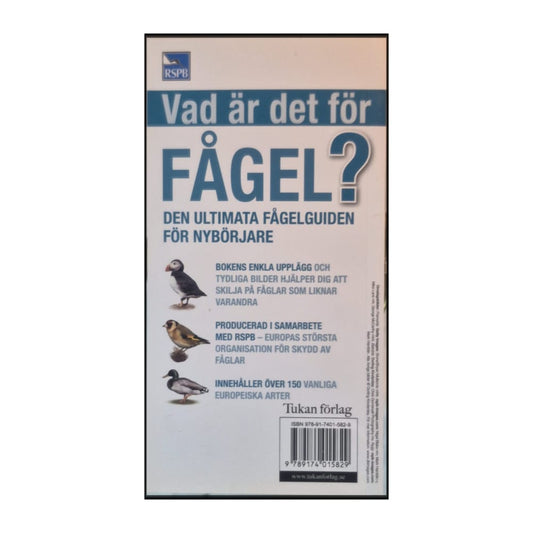 Den Ultimata Guiden: Vad Är Det För Fågel
