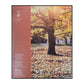 University Of East Anglia: Undergraduate Prospectus 2013