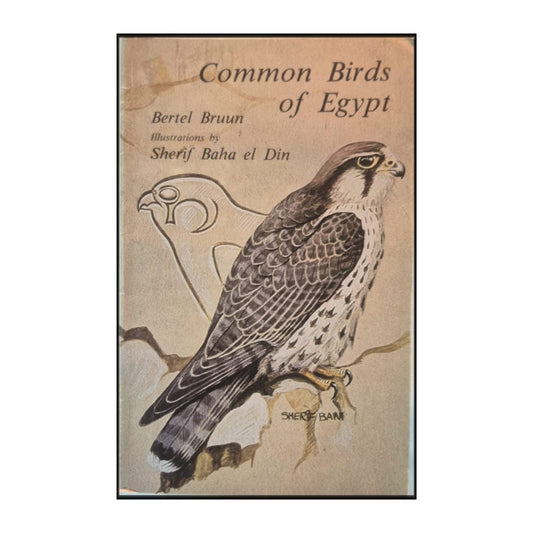 Bertel Bruun: Common Birds Of Egypt