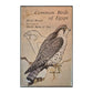 Bertel Bruun: Common Birds Of Egypt