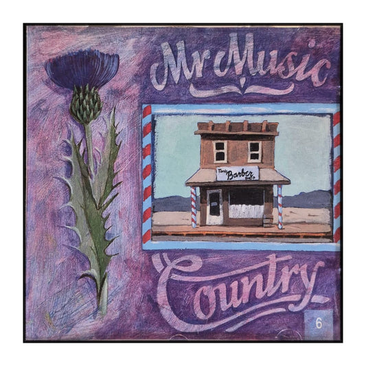Mr Music Country 1993-06