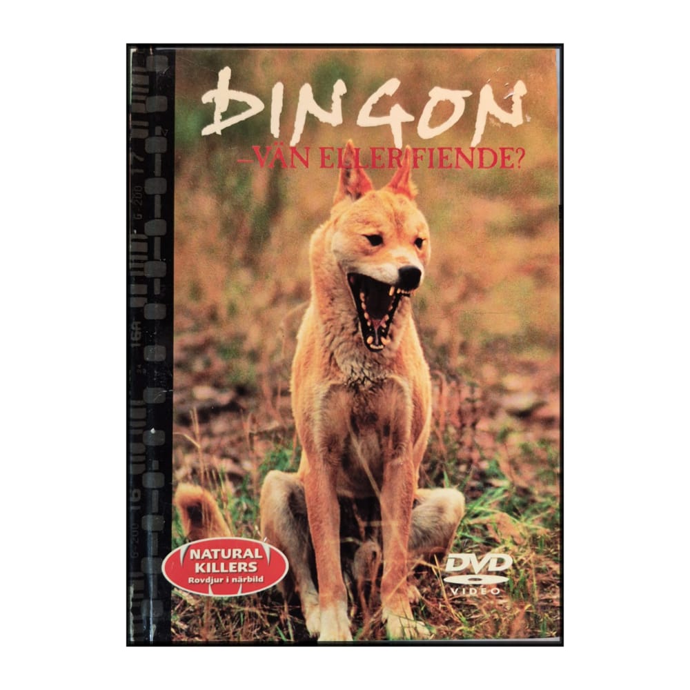 Natural Killers 16: Dingon – Vän Eller Fiende