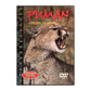 Natural Killers 21: Puman – Amerikas Lejon