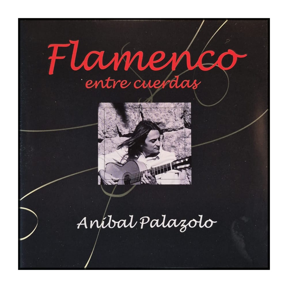 Aníbal Palazolo: Flamenco Entre Cuerdas