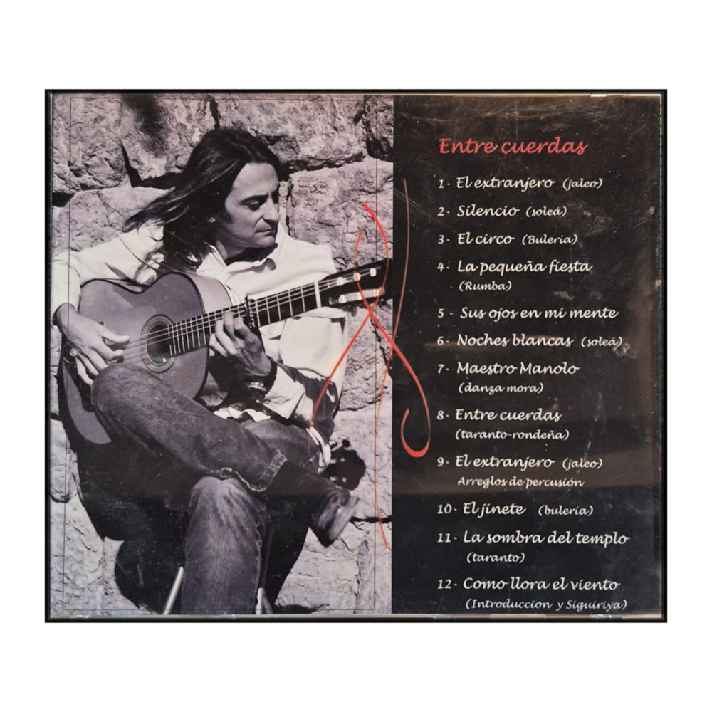 Aníbal Palazolo: Flamenco Entre Cuerdas