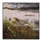 Wolfgang Amadeus Mozart: Amadeus