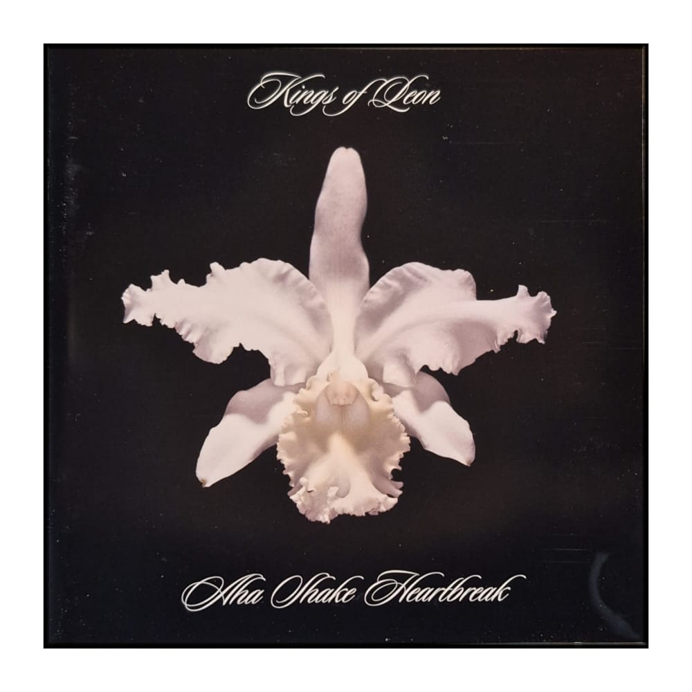 Kings Of Leon: Only By The Night
