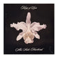 Kings Of Leon: Only By The Night