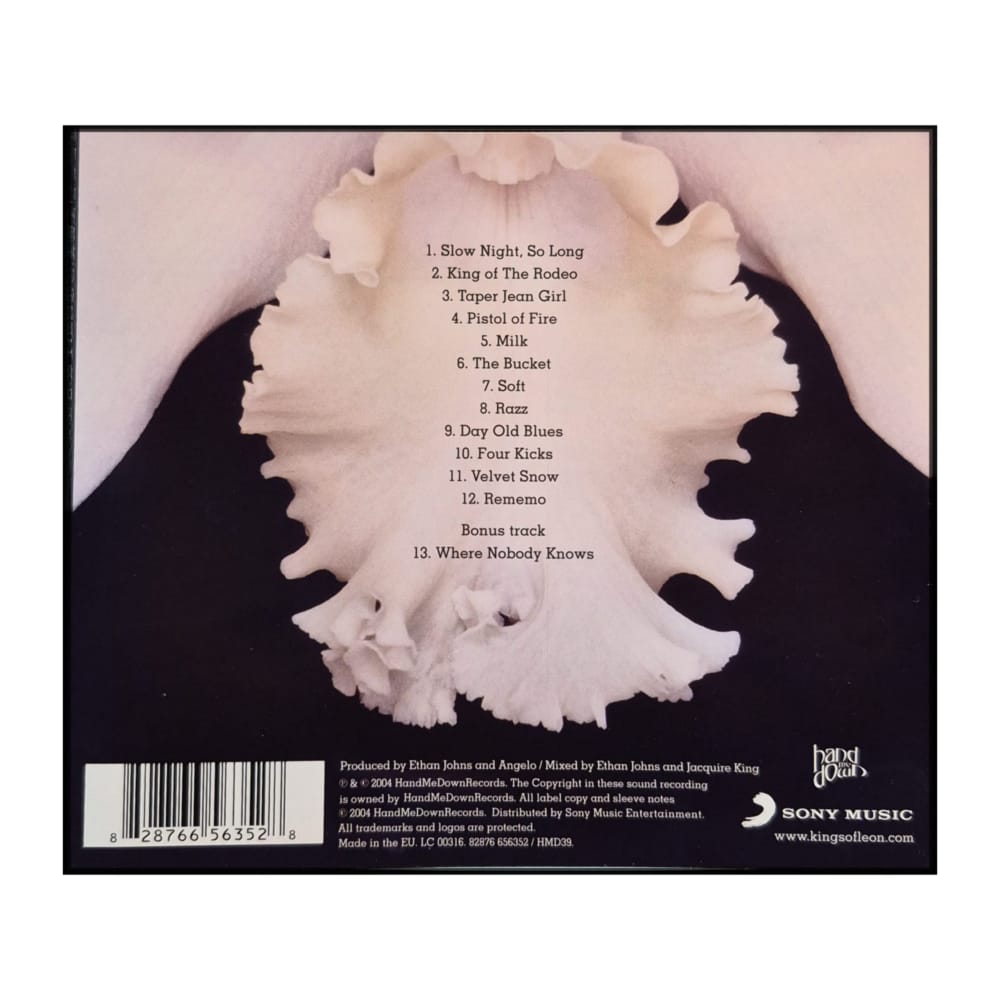 Kings Of Leon: Only By The Night