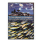From Mahé To Aldabra: The Underwater World Of Seychelles
