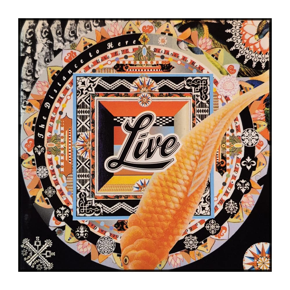 Live: The Distance To Here