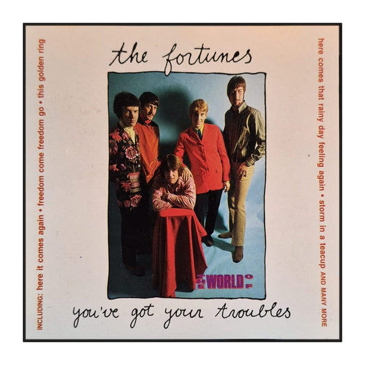 The Fortunes: You'Ve Got Your Troubles