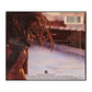 India.Arie: Acoustic Soul