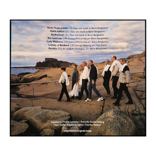 Vocalensemble Goda Hopp: Bara Röster