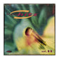 Mr Music Hits 1999-11