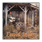 David Miles: Andetag