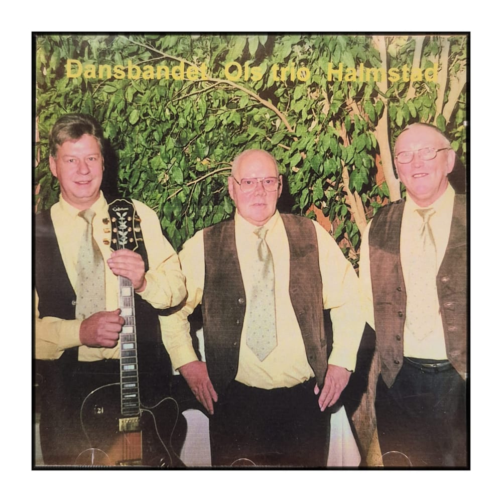 Dansbandet Ols trio: Halmstad