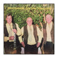 Dansbandet Ols trio: Halmstad