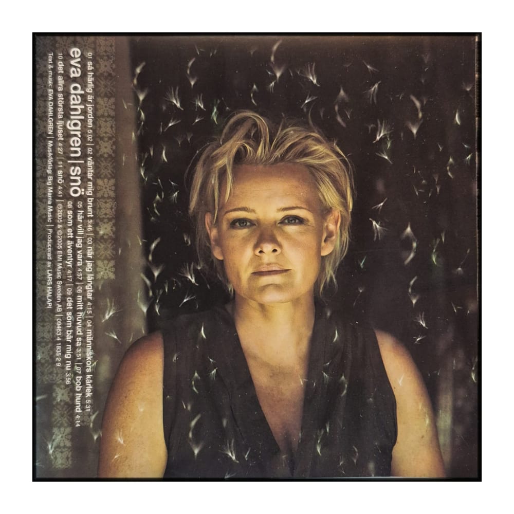 Eva Dahlgren: snö