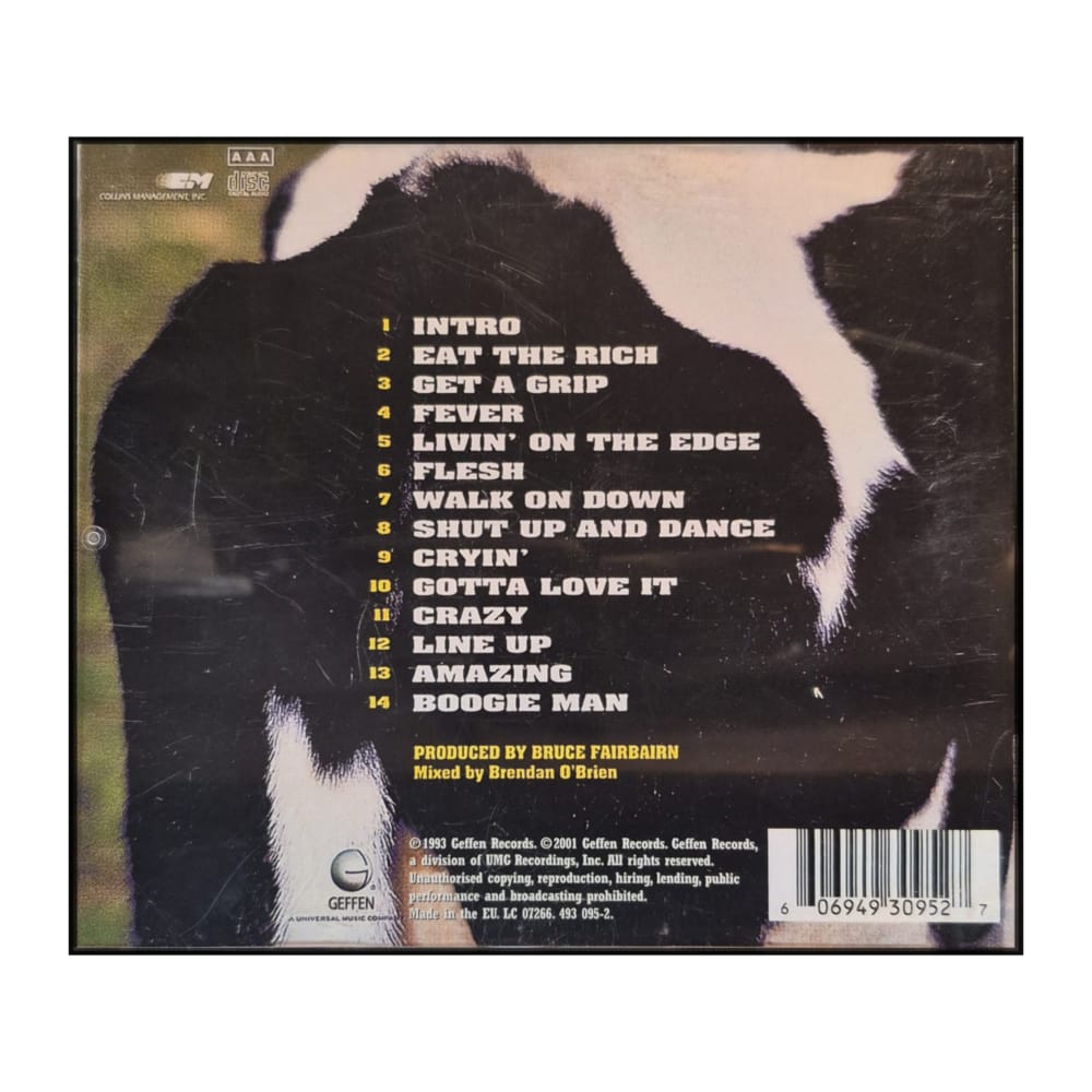 Aerosmith: Get A Grip