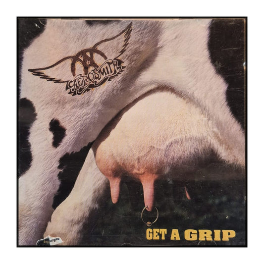 Aerosmith: Get A Grip